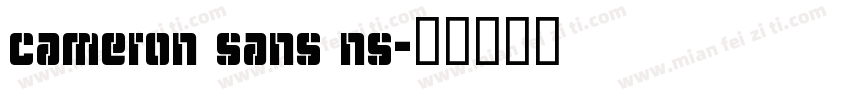 cameron sans ns字体转换